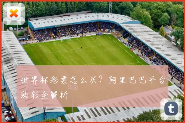 世界杯彩票怎么买?阿里巴巴平台购彩全解析