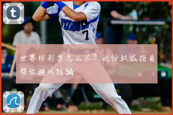 世界杯彩票怎么买？这份权威指南帮你避坑防骗