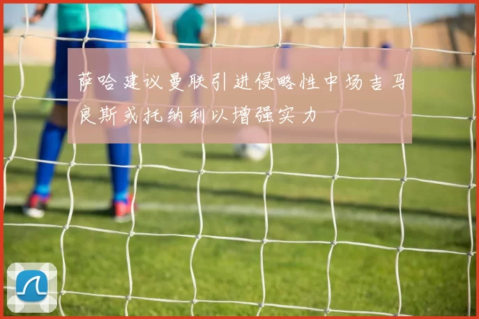 萨哈建议曼联引进侵略性中场吉马良斯或托纳利以增强实力