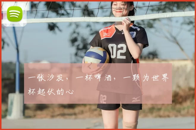 一张沙发,一杯啤酒,一颗为世界杯起伏的心