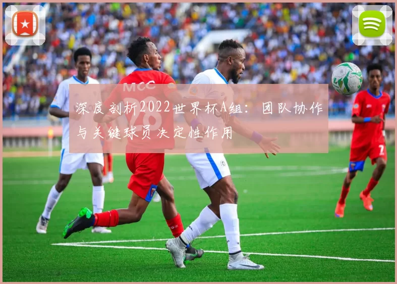 深度剖析2022世界杯A组：团队协作与关键球员决定性作用
