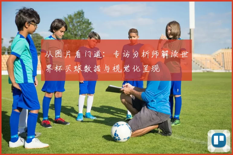 从图片看门道：专访分析师解读世界杯买球数据与视觉化呈现