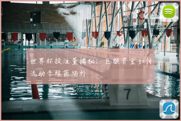 世界杯投注量揭秘：巨额资金如何流动于绿茵场外