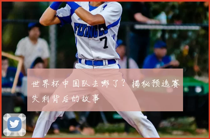 世界杯中国队去哪了？揭秘预选赛失利背后的故事