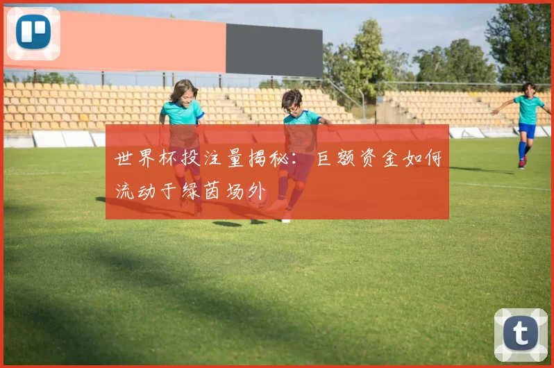 世界杯投注量揭秘：巨额资金如何流动于绿茵场外