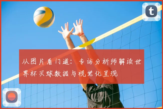 从图片看门道：专访分析师解读世界杯买球数据与视觉化呈现
