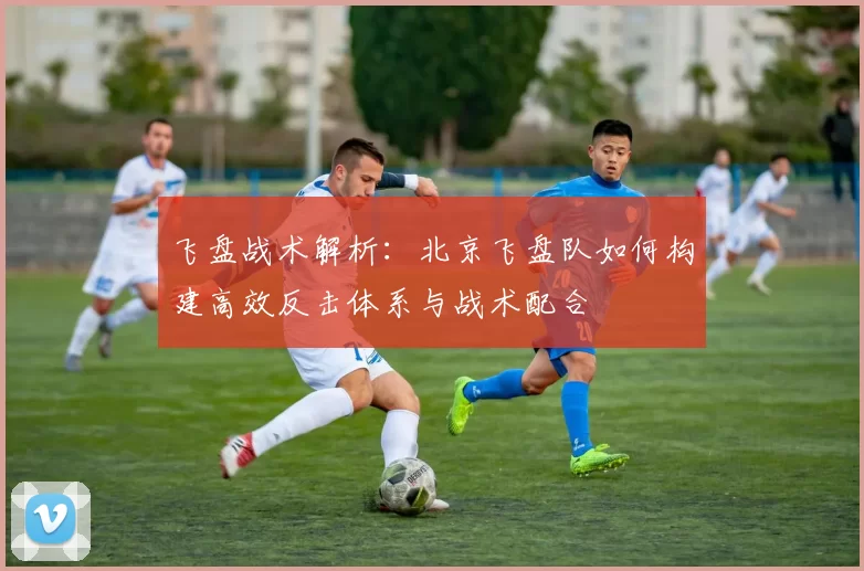 飞盘战术解析：北京飞盘队如何构建高效反击体系与战术配合