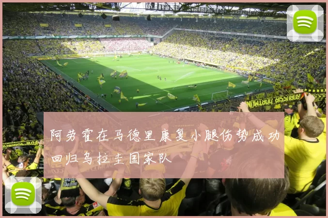 阿劳霍在马德里康复小腿伤势成功回归乌拉圭国家队