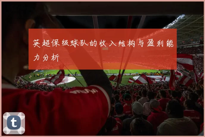 英超保级球队的收入结构与盈利能力分析