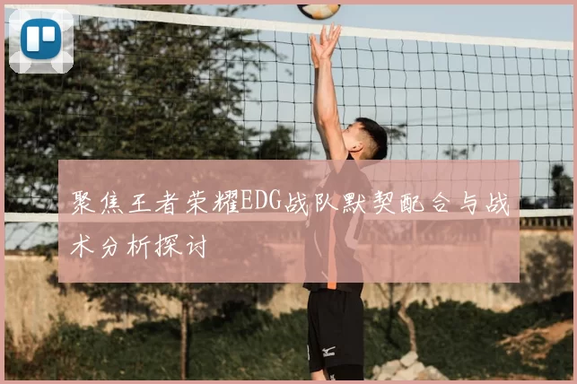 聚焦王者荣耀EDG战队默契配合与战术分析探讨