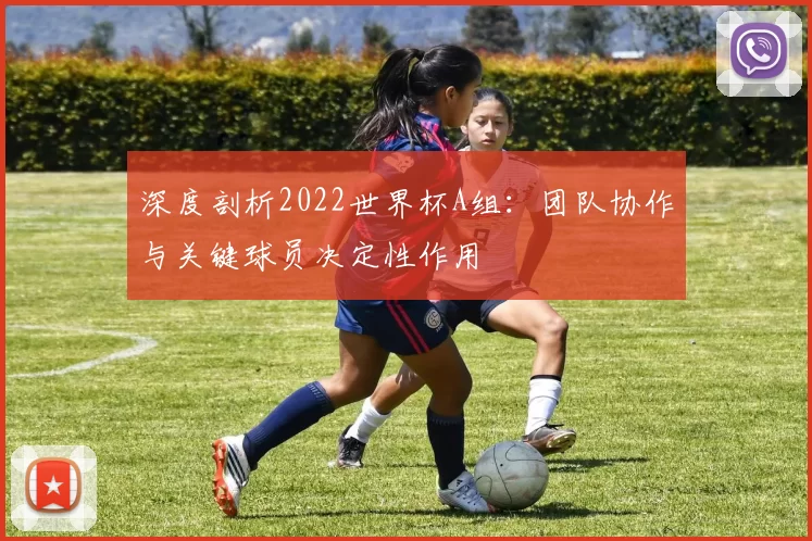 深度剖析2022世界杯A组：团队协作与关键球员决定性作用