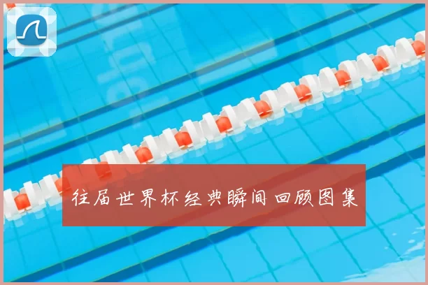 往届世界杯经典瞬间回顾图集