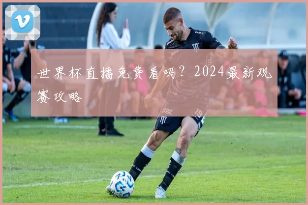 世界杯直播免费看吗？2024最新观赛攻略