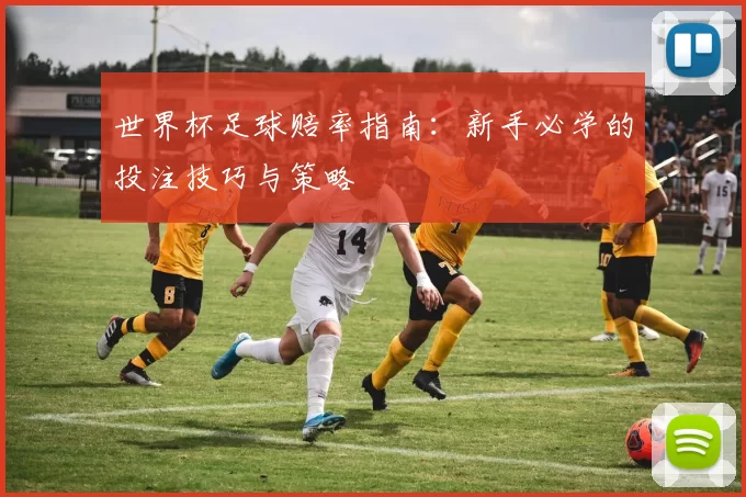 世界杯足球赔率指南:新手必学的投注技巧与策略