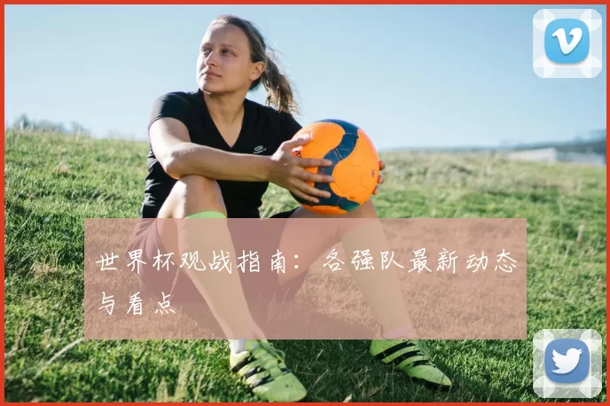 世界杯观战指南:各强队最新动态与看点